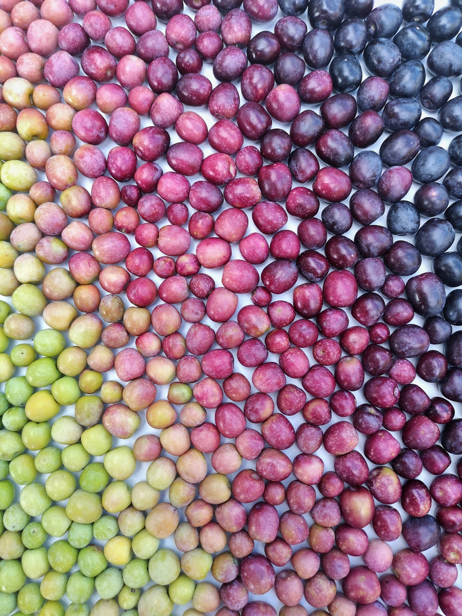 ¿Dónde está Maduro?